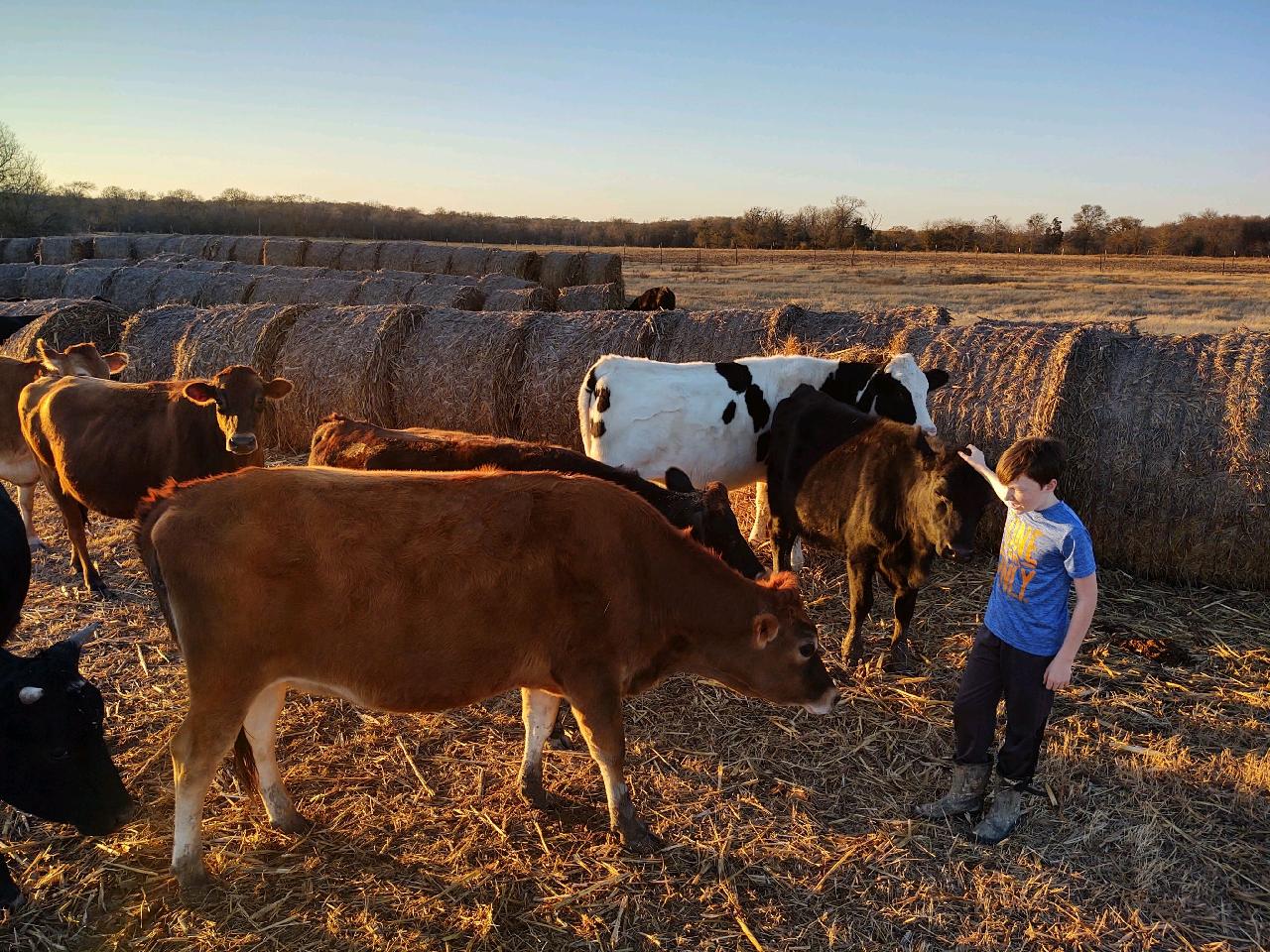 Richardson Farms Dairy & Creamery photo 4